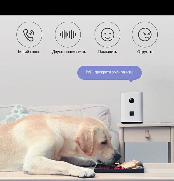Умная автокормушка для домашних Pawbby Treat Cam Camera Smart Pet Feeder CCTV (White) - 5